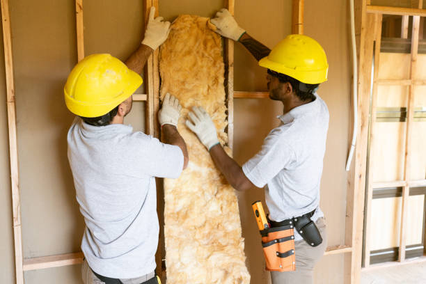 Best Energy-efficient Insulation  in Timber Pines, FL